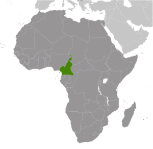 The location of Cameroon in Africa