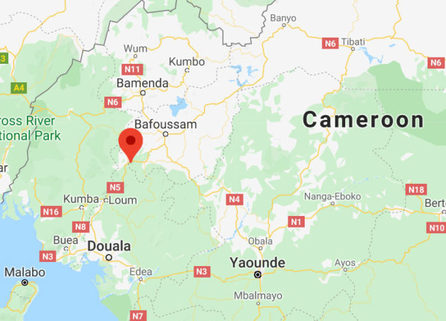 Kekem, Cameroon, is near the Nigeria border north of Douala. (Map courtesy of Google Maps)